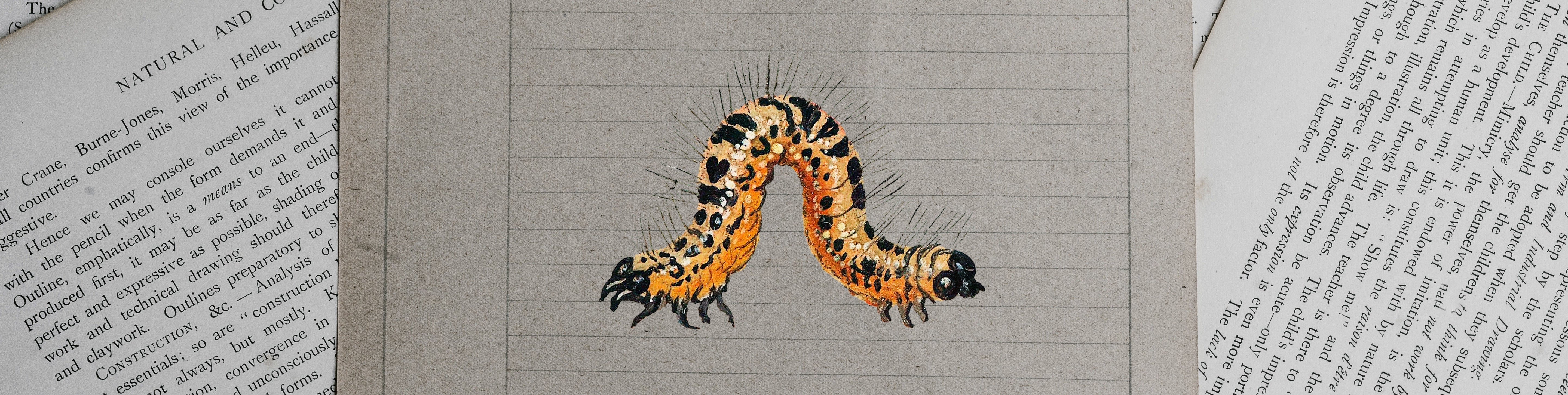 Metamorphosis