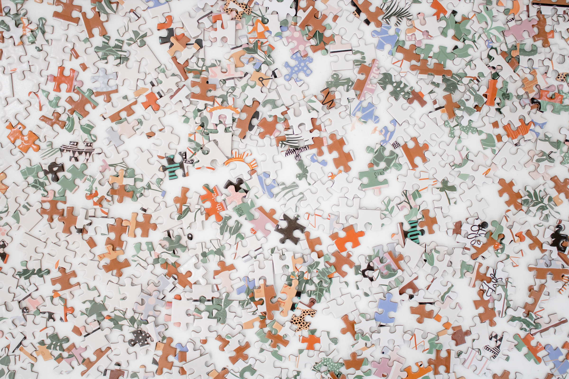 Puzzles & Activities
