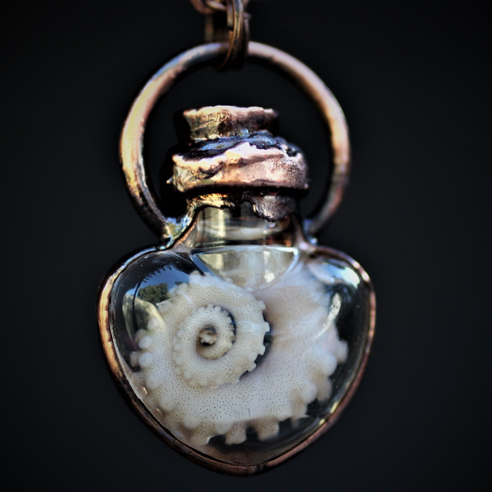 Octopus Tentacle Wet Specimen Necklace