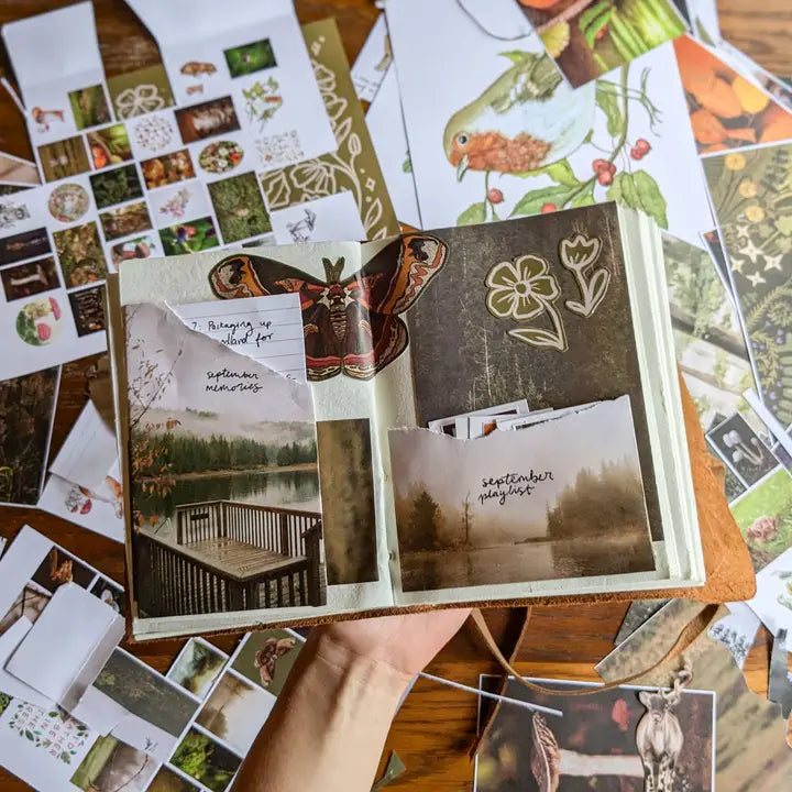 Scrapbooker's Cut + Paste Magazine - Issue 09 Woodland