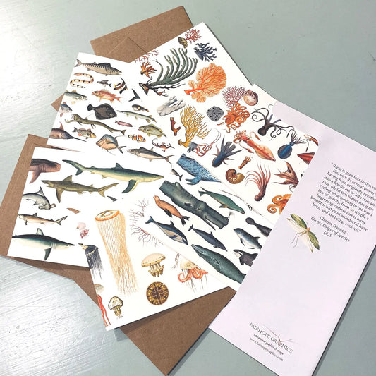 Ocean History Card Pack