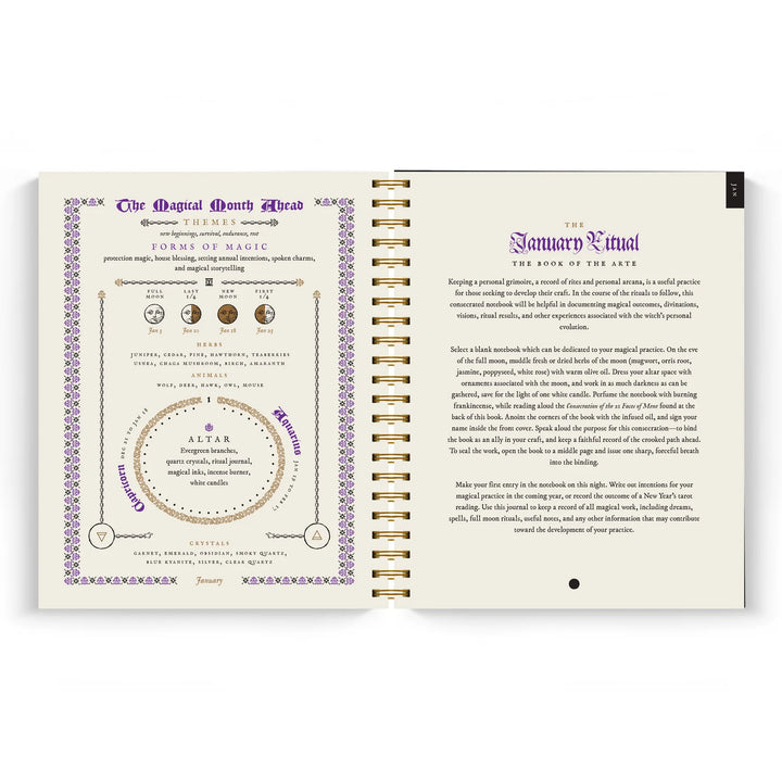 The Witch's Yearly Planner - 2026 Preorder