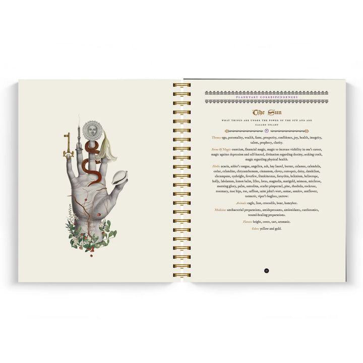 The Witch's Yearly Planner - 2026 Preorder