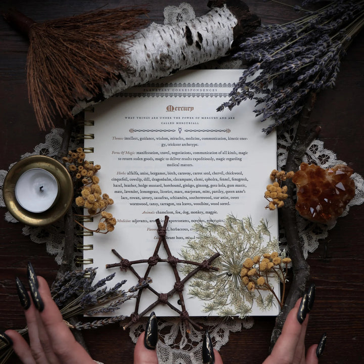 The Witch's Yearly Planner - 2026 Preorder