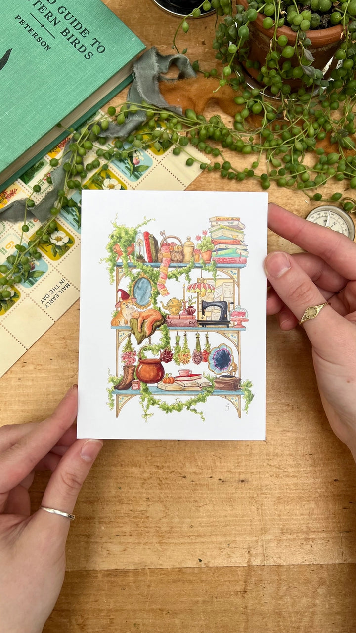 The Hedge Witch's Shelves Postcard