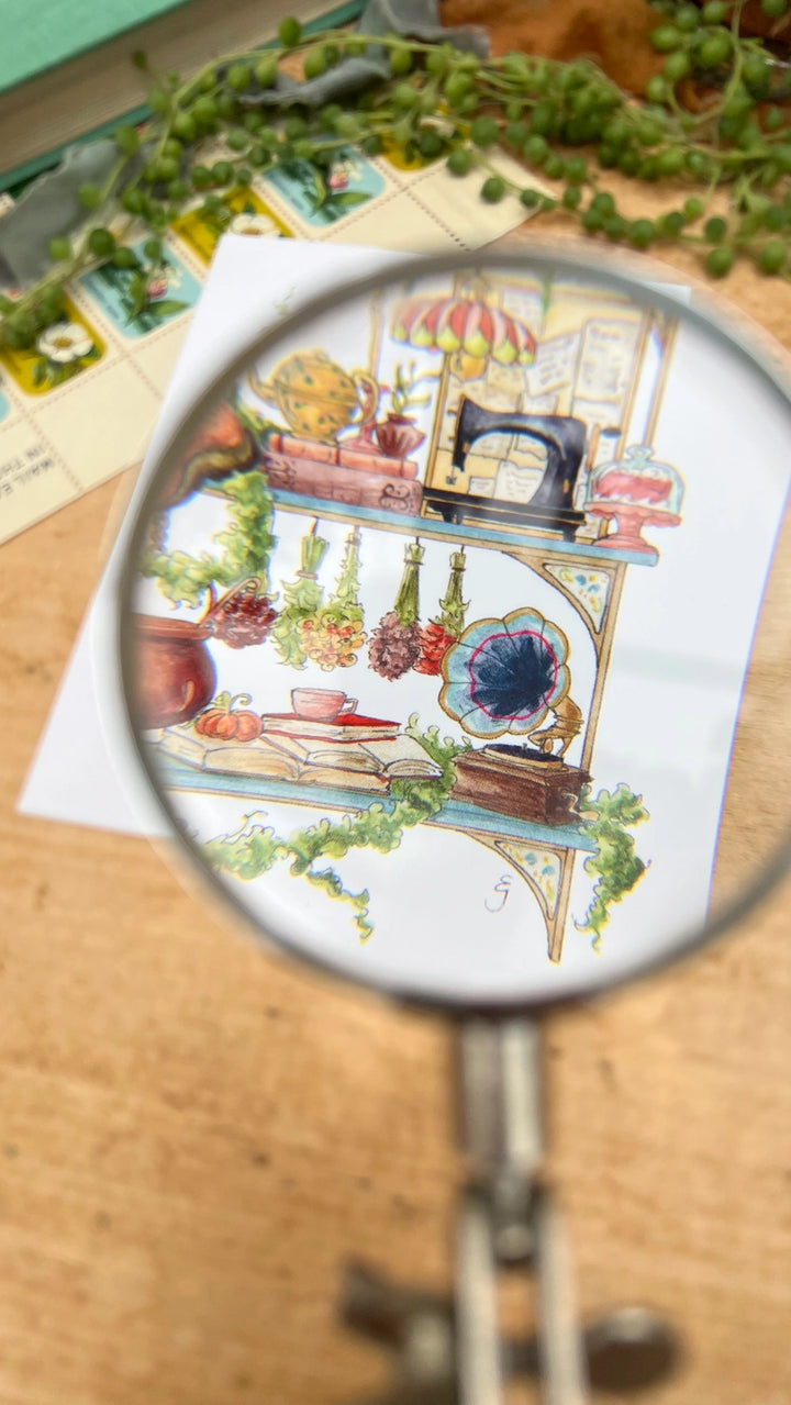 The Hedge Witch's Shelves Postcard