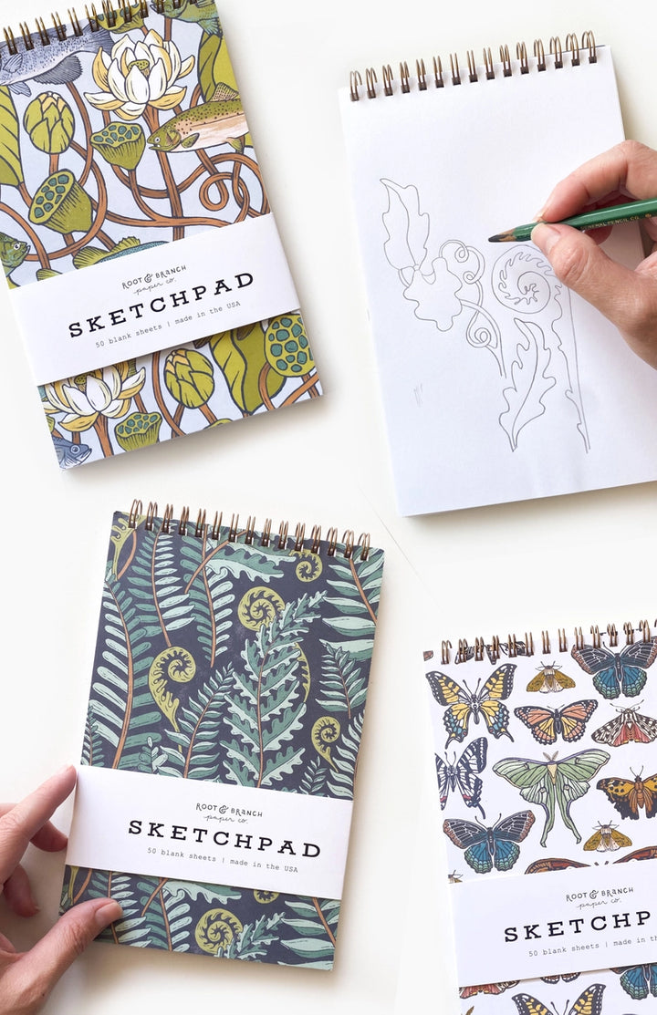 Butterfly and Moth Spiral Bound Sketchpad