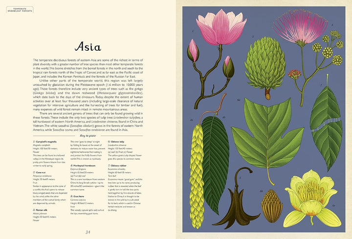Arboretum Jumbo Welcome to the Museum Book
