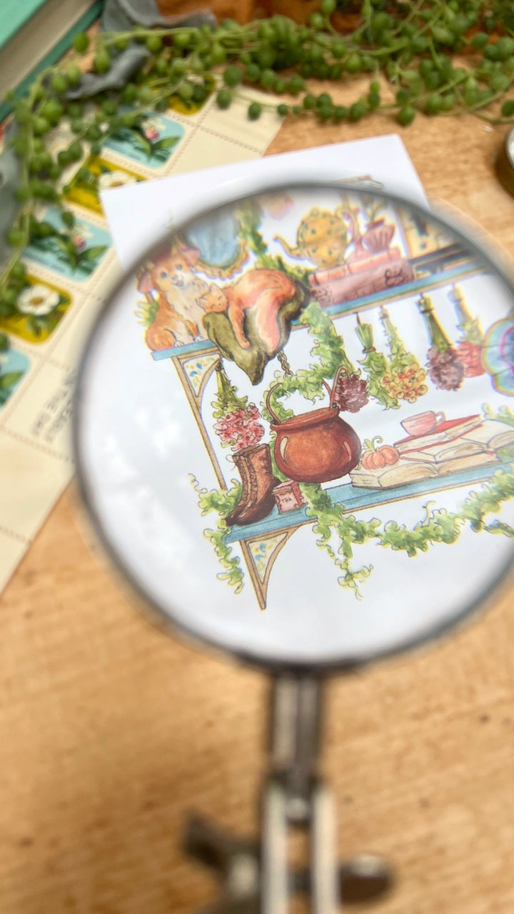 The Hedge Witch's Shelves Postcard