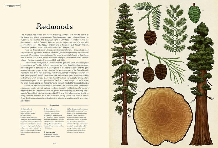 Arboretum Jumbo Welcome to the Museum Book