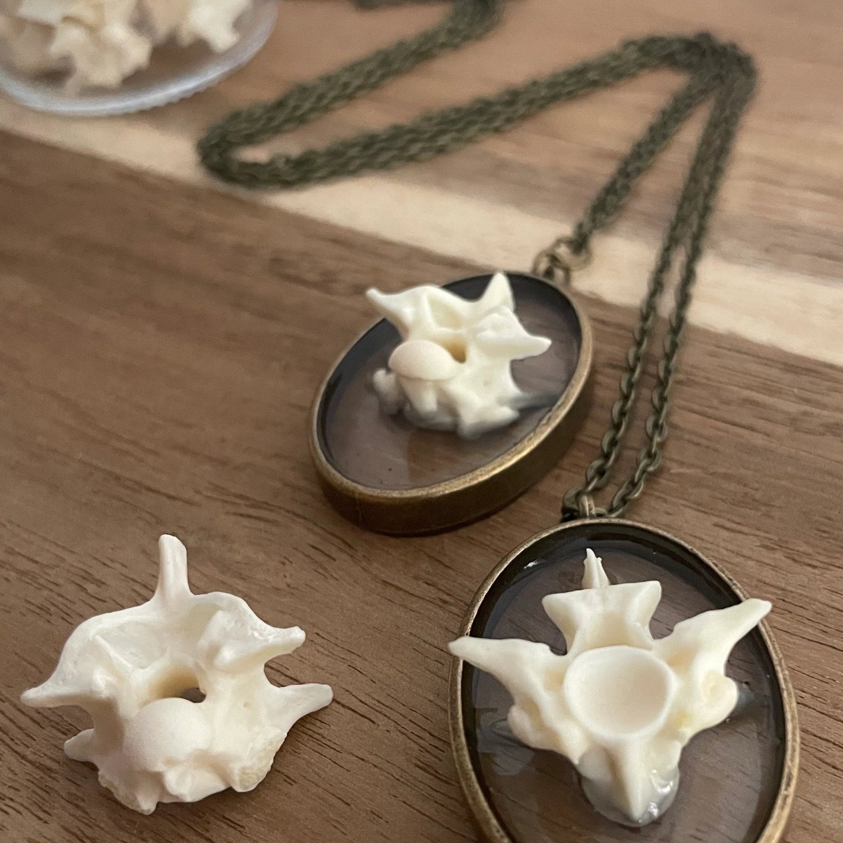 Ball Python Snake Vertebrae Bone Necklace