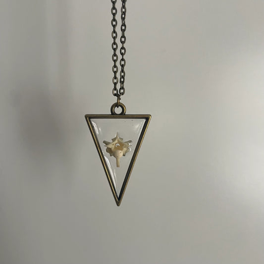Pygmy Rattlesnake Vertebrae Necklace