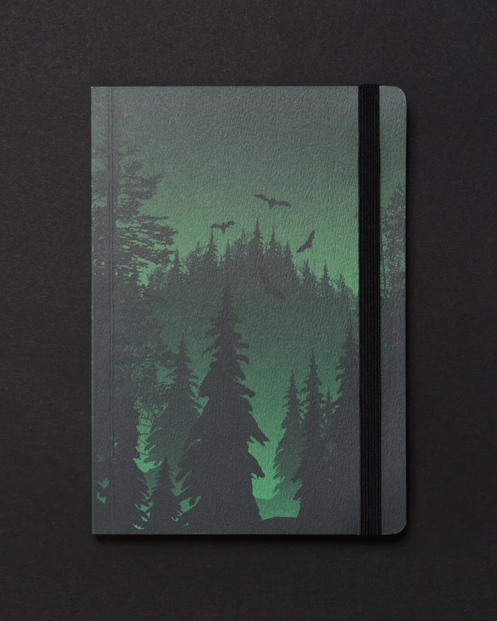 Evergreen Forest Dark Matter Analysis Notebook