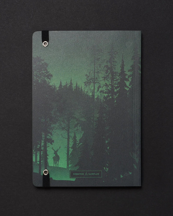 Evergreen Forest Dark Matter Analysis Notebook