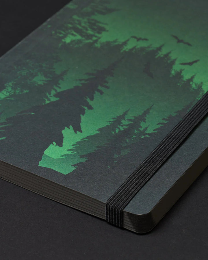 Evergreen Forest Dark Matter Analysis Notebook