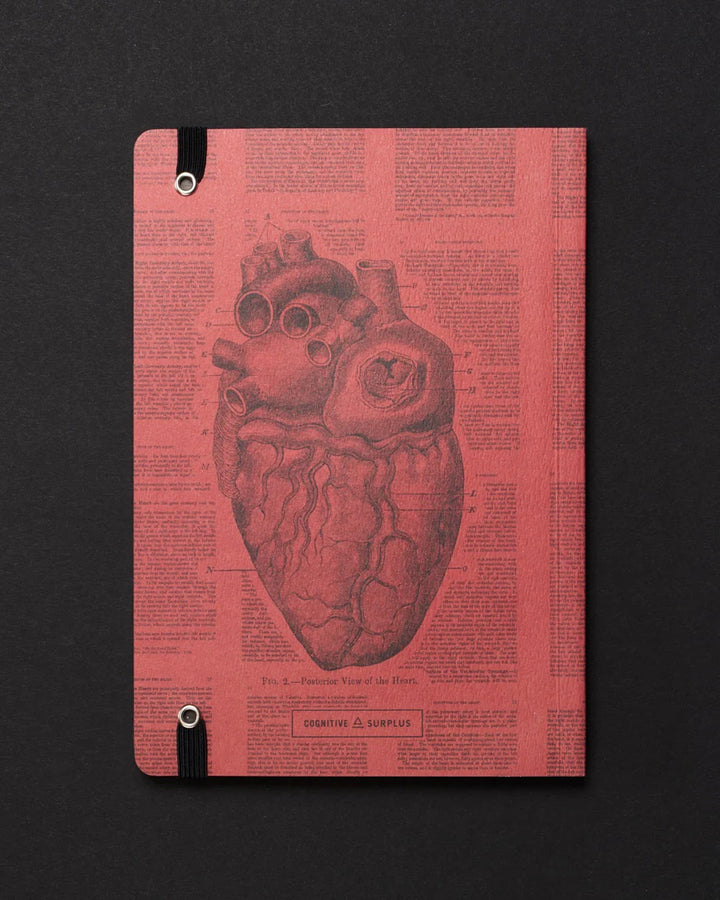 Anatomical Heart Dark Matter Analysis Notebook