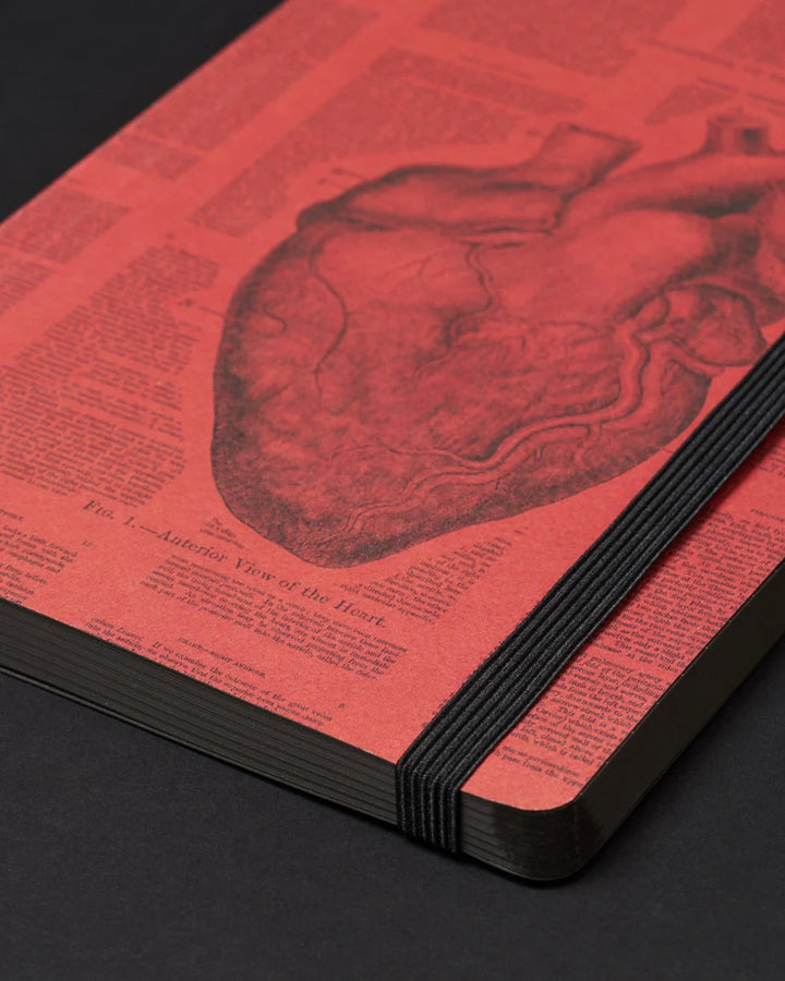 Anatomical Heart Dark Matter Analysis Notebook
