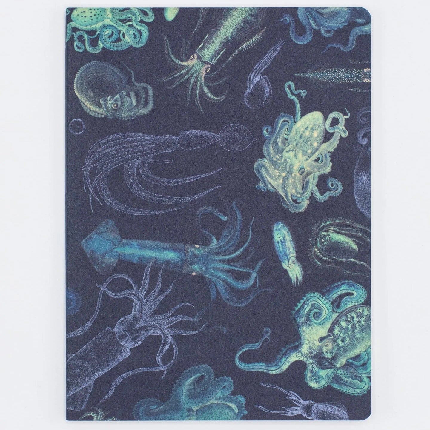 Cognitive Surplus Octopus & Squid Notebook