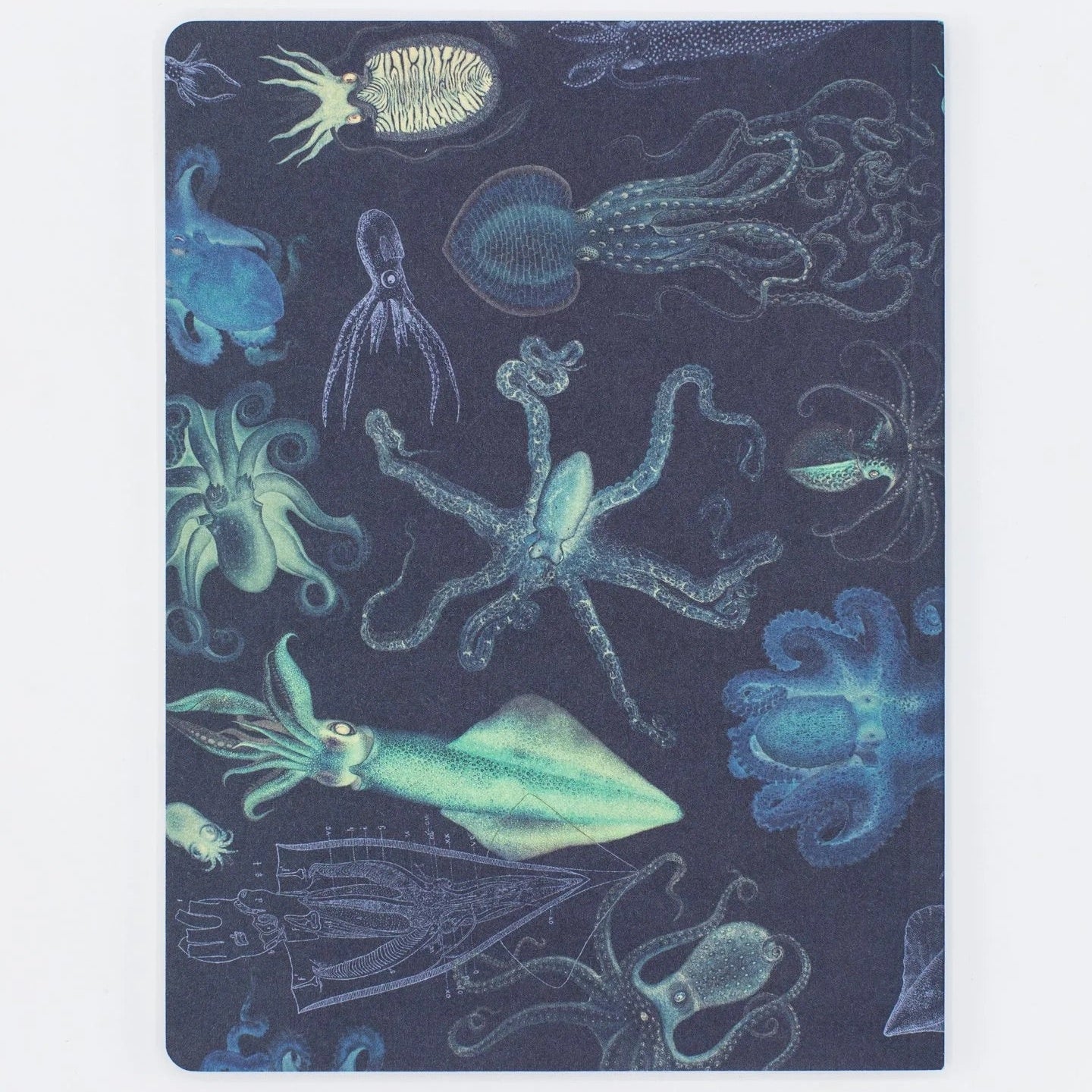 Cognitive Surplus Octopus & Squid Notebook