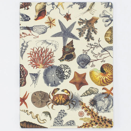 Cognitive Surplus - Shallow Seas Notebook