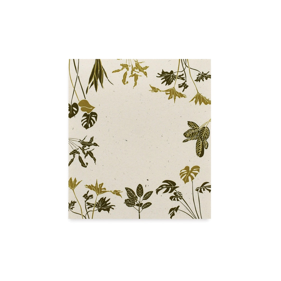 Rainforest Mini Notes