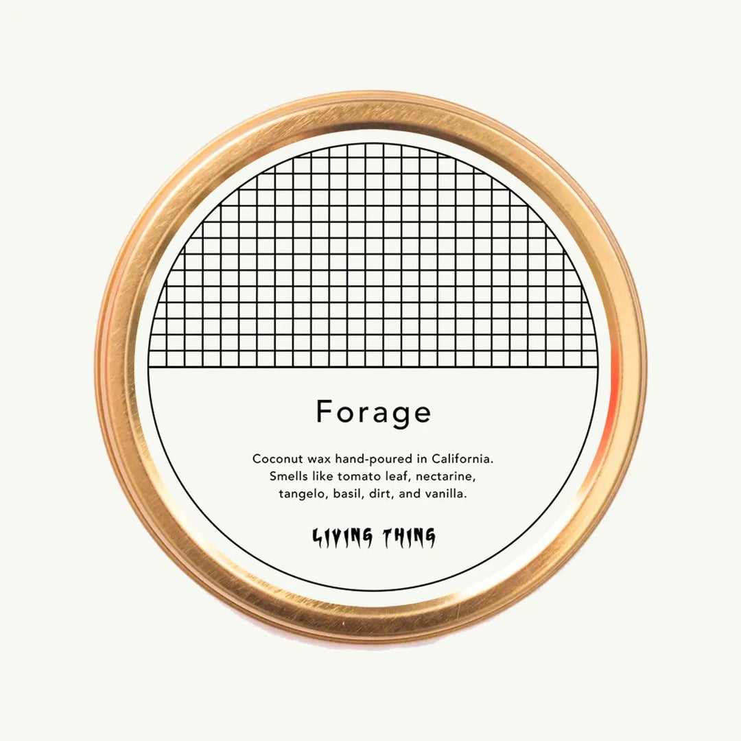 Forage Candle