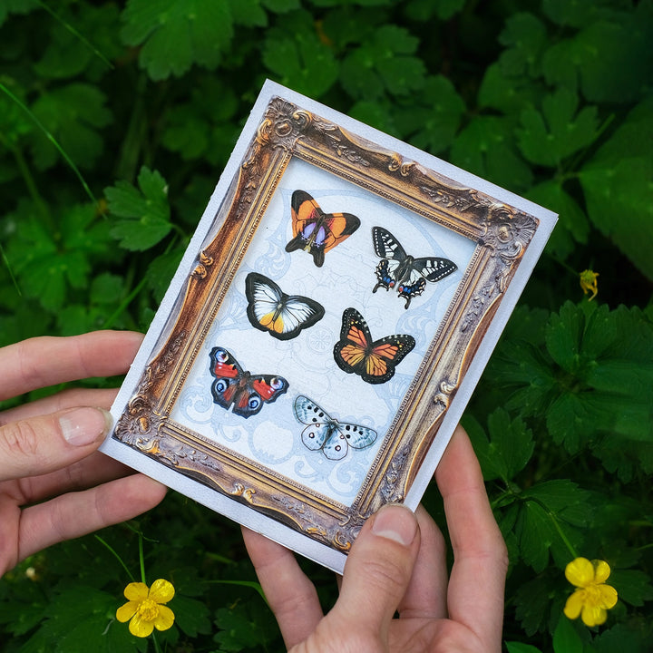 Spellbound Mini Butterfly Pop-Out Greeting Card