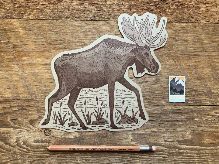 Moose Postcard