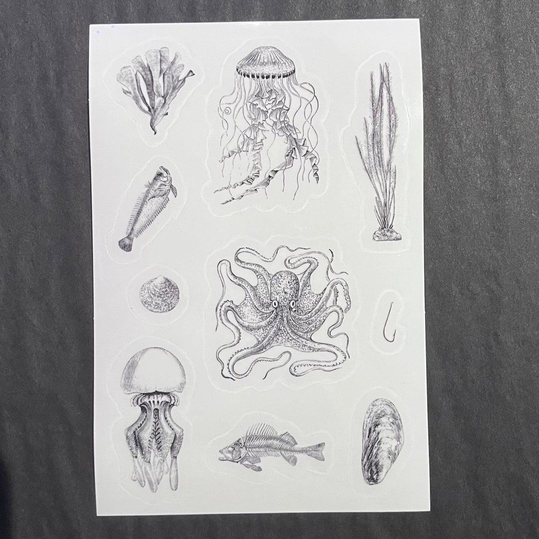 Oceanic Illustrations Sticker Sheet