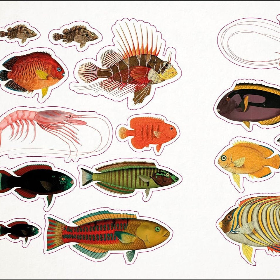 The Seashore Anthology Sticker Book (1000+ Stickers)