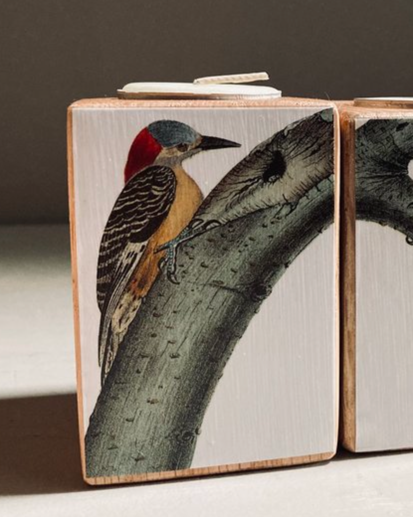 Woodpecker Decoupaged Candle Holder