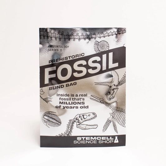 Mystery - Fossil Blind Bag