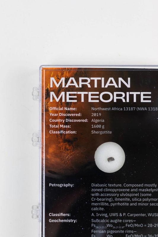 Martian Meteorite Specimen - NWA13187
