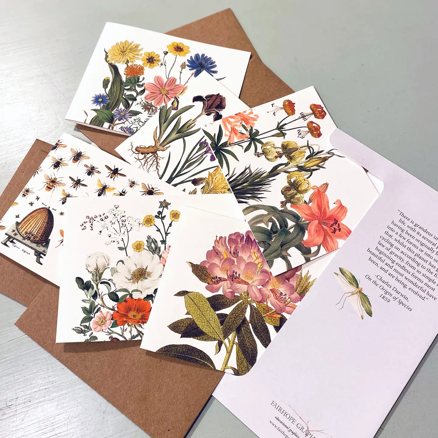 Garden History Card Pack Botanical Flowers
