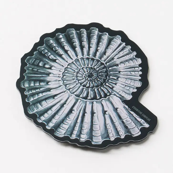 Ammonite Fossil Magnet