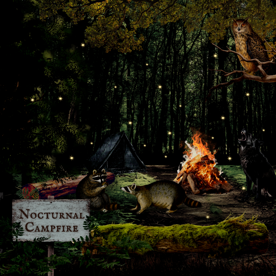 Nocturnal Campfire Mystery Theme Set