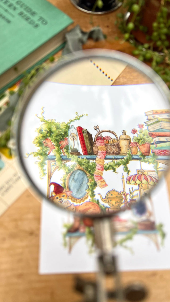 The Hedge Witch's Shelves Postcard