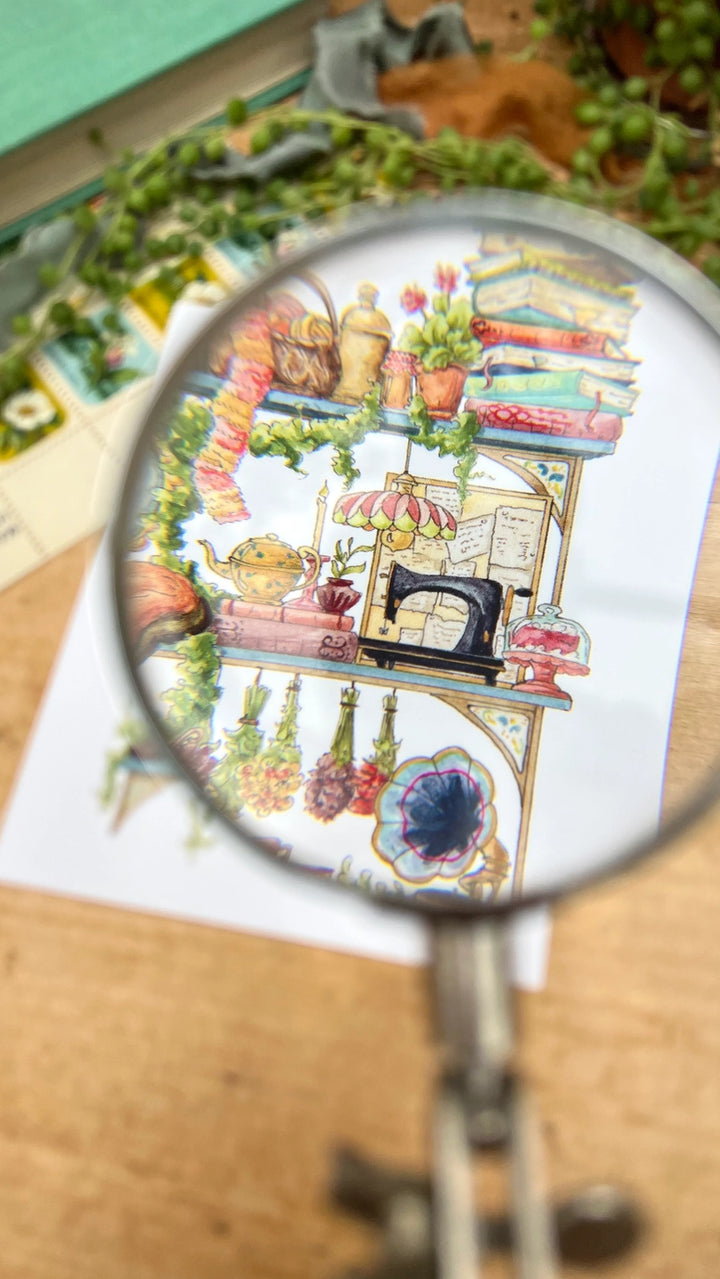 The Hedge Witch's Shelves Postcard