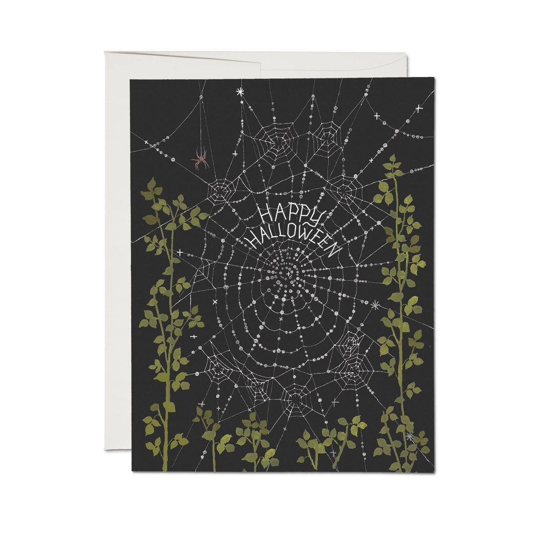 Delicate Spider Web Greeting Card