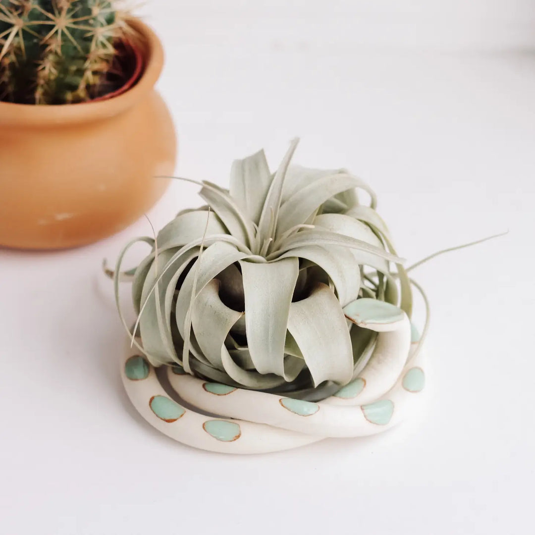 Self Care Ceramic Snake - Big Sylvia