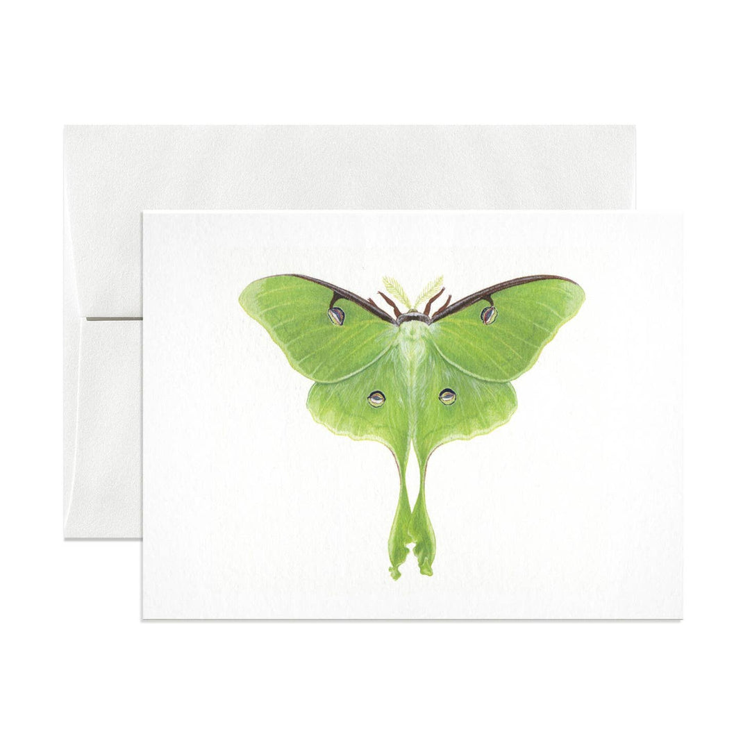 Luna Moth Card