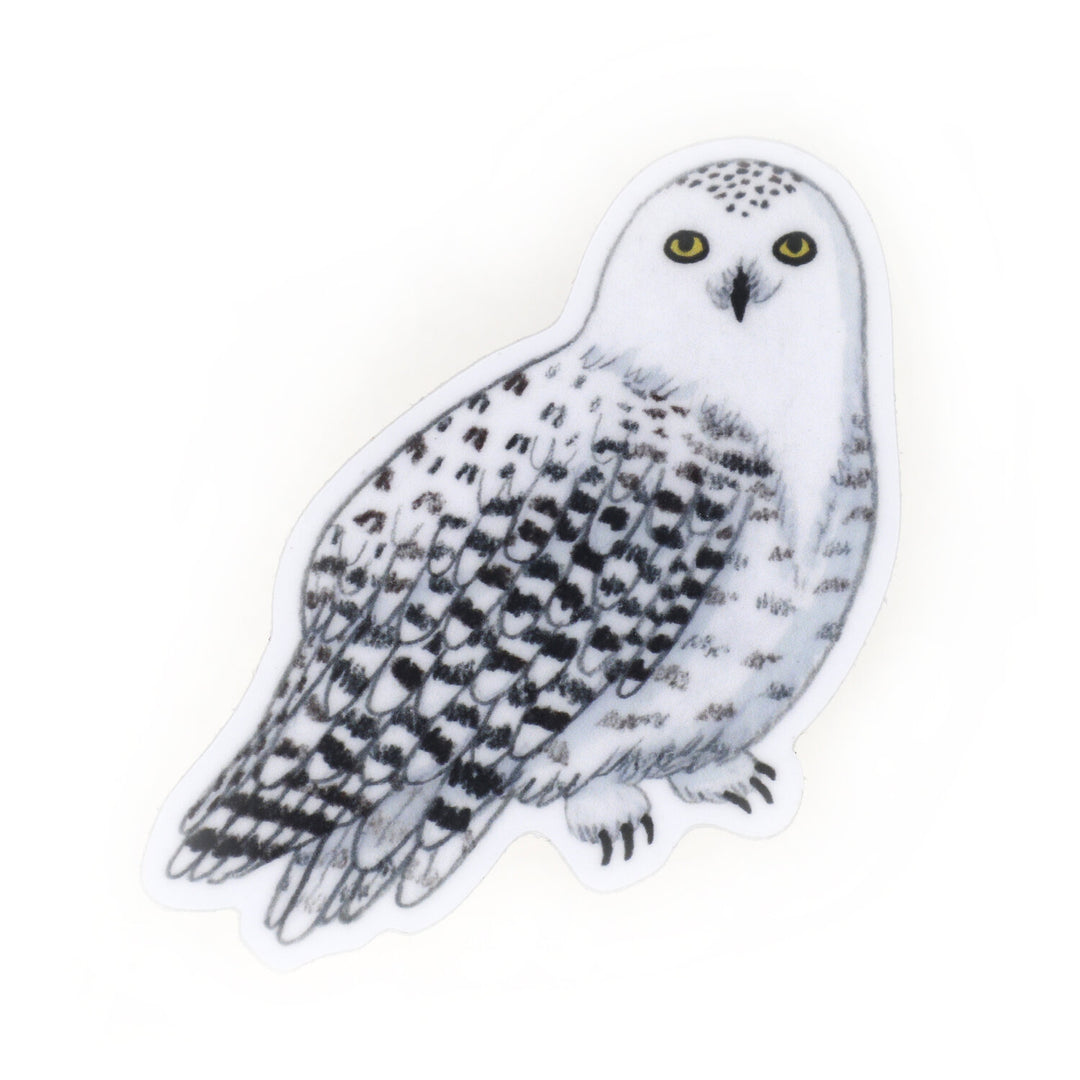 Hedwig Sticker