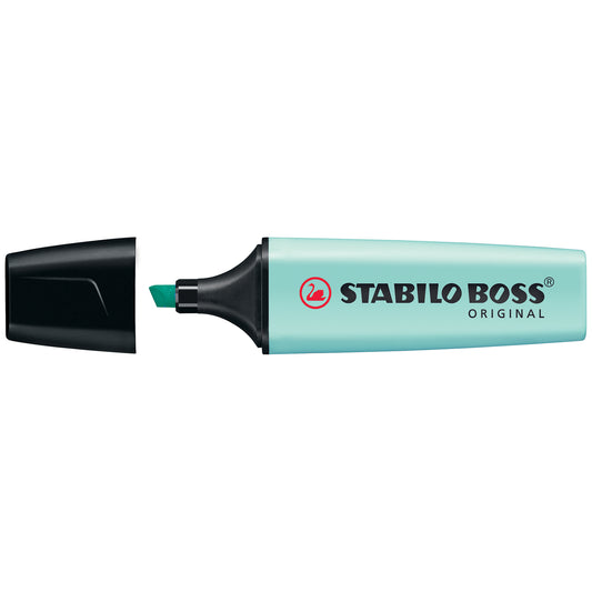Boss Highlighter - 113 Pastel Touch of Turquoise