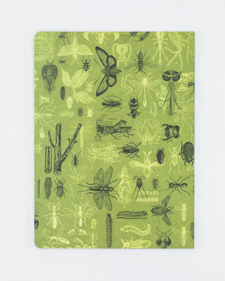 Bug + Butterfly Notebook