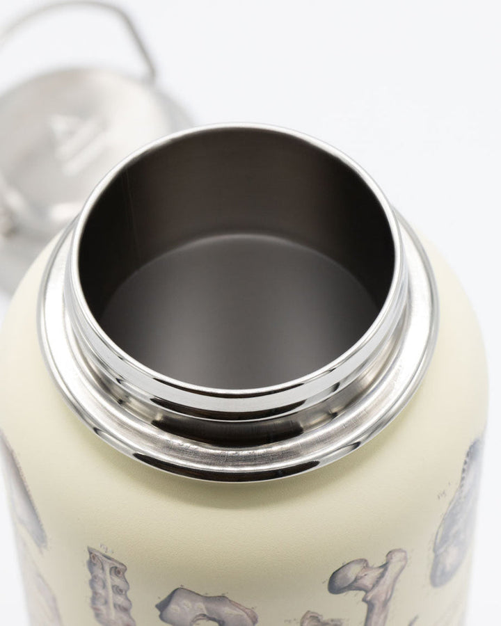 Skeleton Water Bottle - 32 oz