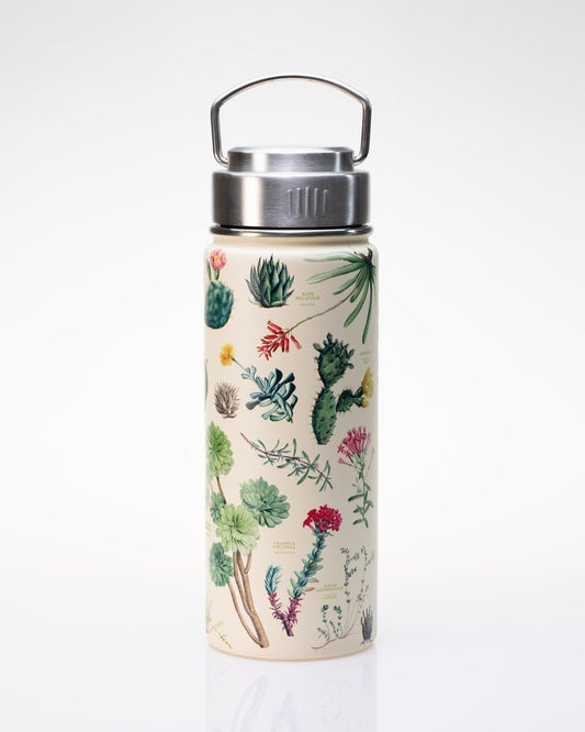 Succulents Water Bottle - 18 oz