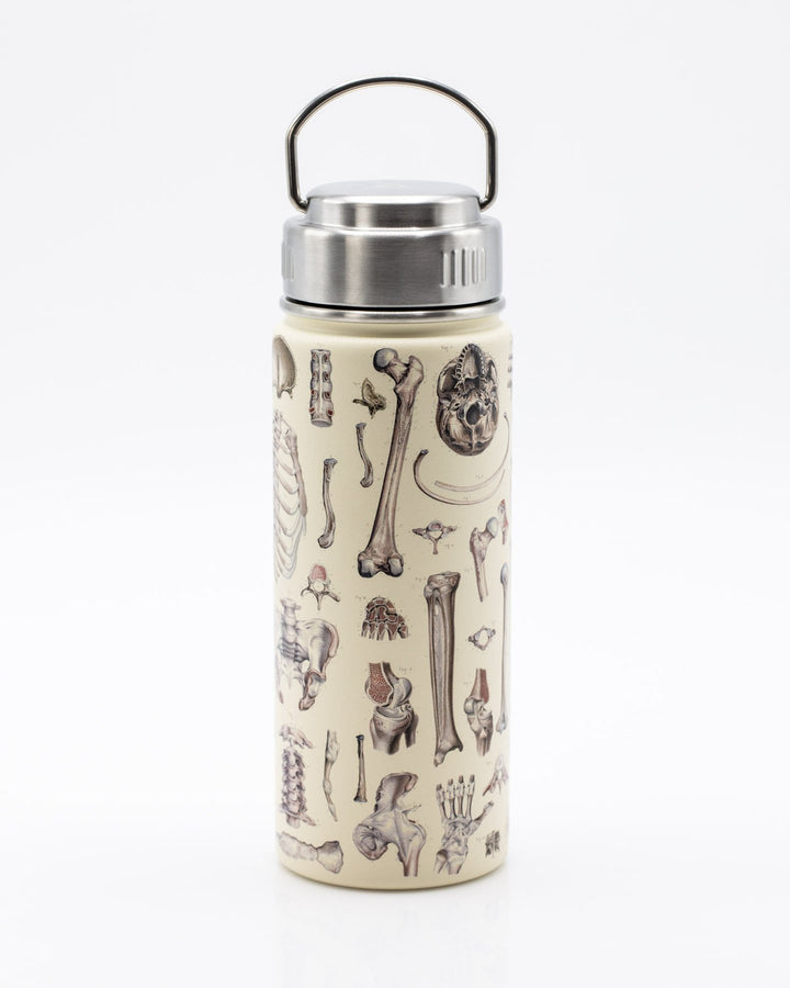 Skeleton Water Bottle - 18 oz