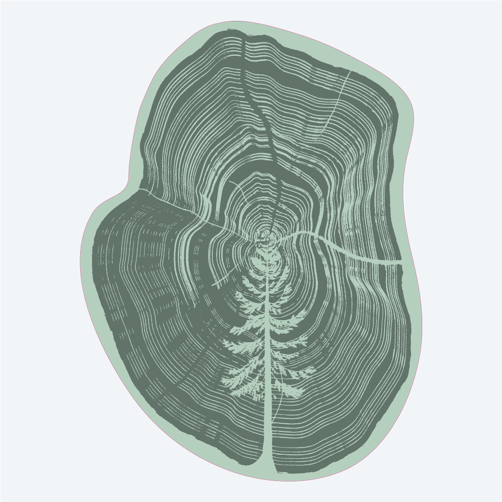 Tree Ring Sticker