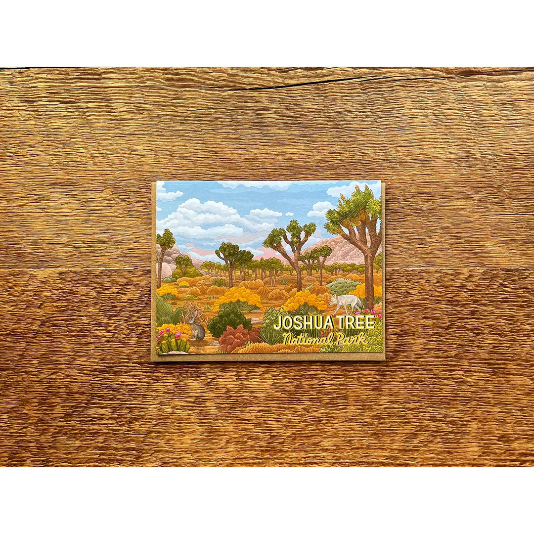 National Parks Scenic Memory Cards - 11 Parks