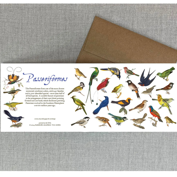 Birds History Card